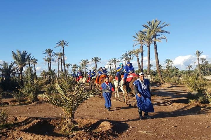 Palmeraie Camel Ride Near Marrakech: 1-Hour Dromedary Trek in the Palm Grove photo 4