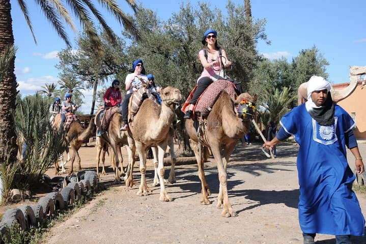Palmeraie Camel Ride Near Marrakech: 1-Hour Dromedary Trek in the Palm Grove photo 6
