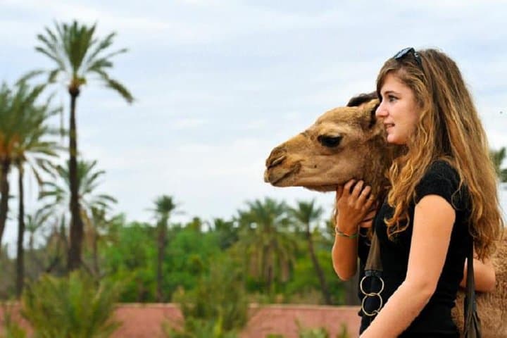 Agafay Desert and Atlas Mountains Day Trip from Marrakech: Camel Ride & Berber Villages photo 1