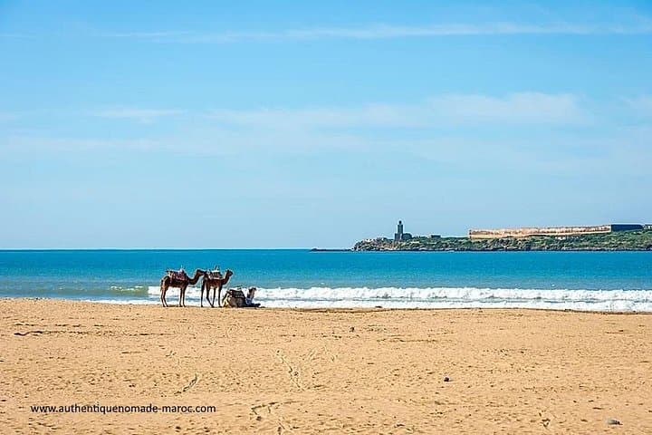 Essaouira Private 4x4 Day Trip from Marrakech — Medina, Port & Atlantic Coast photo 4