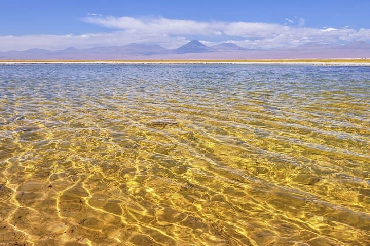 Toconao and Salar de Atacama Day Tour — Flamingos, Salt Flats & Atacameña Culture photo 3