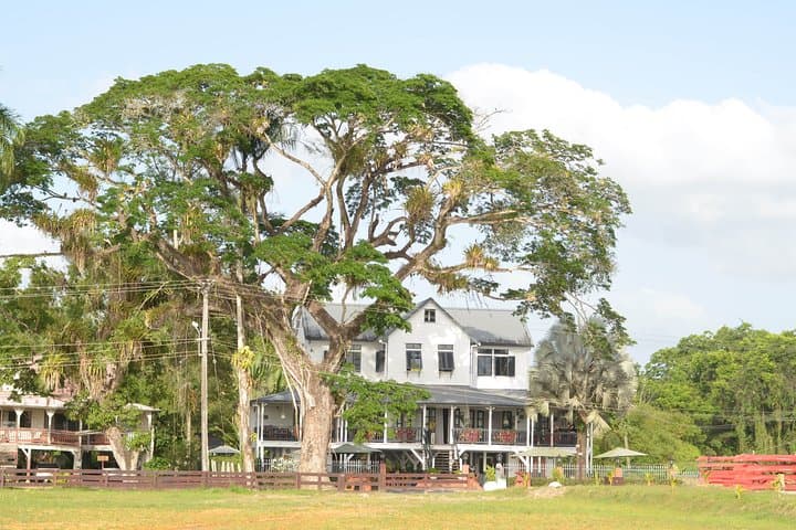 Peperpot Bicycle Tour: Cycle, Tent-Boat and Explore a Historic Suriname Plantation photo 2