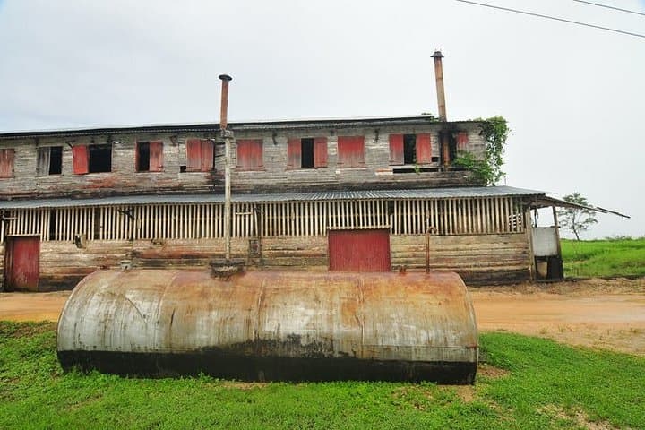 Peperpot Bicycle Tour: Cycle, Tent-Boat and Explore a Historic Suriname Plantation photo 3
