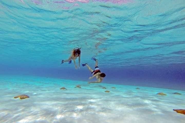 El Cielo Cozumel Snorkel: 3 Reefs, Starfish & Cielito Beach Tour photo 2