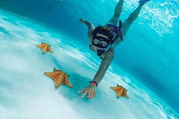 El Cielo Cozumel Snorkel: 3 Reefs, Starfish & Cielito Beach Tour photo 1
