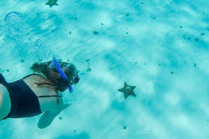 El Cielo Cozumel: Snorkel the Star Sandbar and Palancar Reefs photo 1
