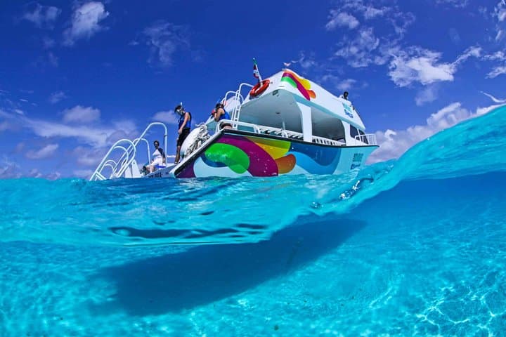 El Cielo Starfish Snorkel: Full-Day Cozumel Reef Adventure photo 4