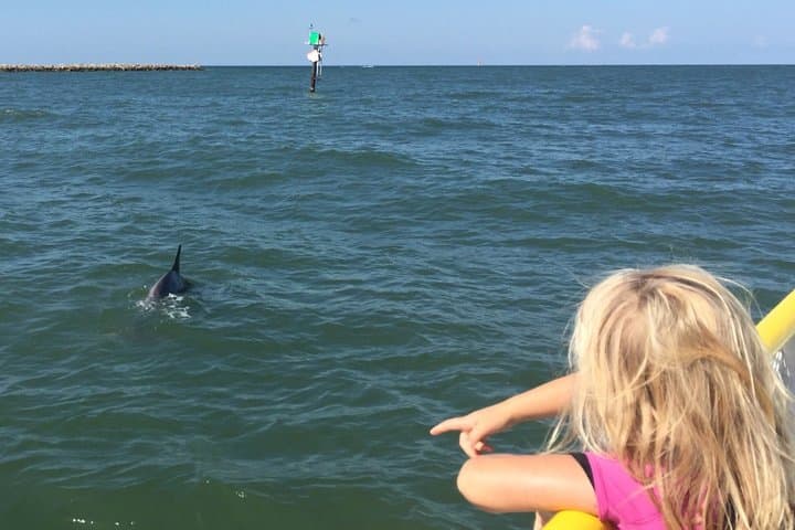 Clearwater Dolphin Watching & Compass Island Stop — 90-Min Tour from Clearwater Beach Marina photo 5