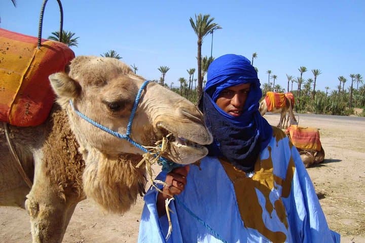Sunset Camel Ride in Marrakech Palmeraie: Palm-Grove Sunset Trek photo 6