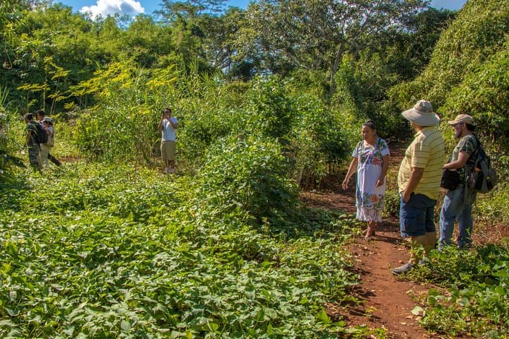 Explore the Puuc: San Agustín Community Visit and Grutas Chocantes Adventure photo 6