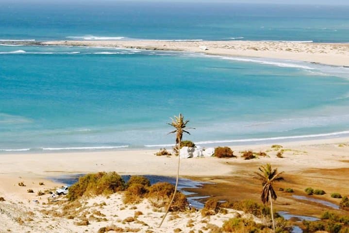Ervatão & North Private Tour: Boa Vista Turtle Reserve, Baobab & Morro Negro photo 3