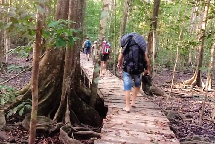 Darien Jungle Expedition: 5-Day Embera Cultural & Rainforest Immersion photo 5