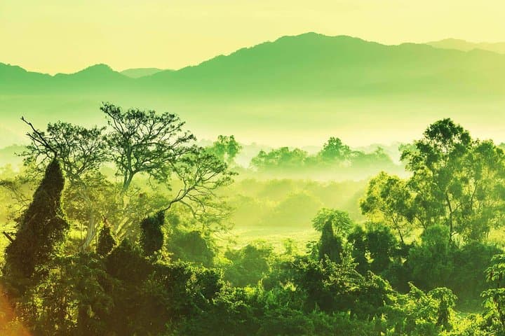 Darien Jungle Expedition: 5-Day Embera Cultural & Rainforest Immersion photo 4