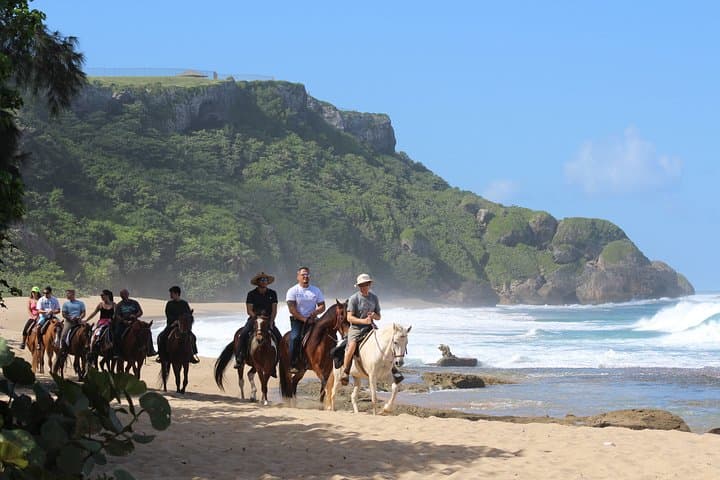 Horseback Riding on Rincón's Secluded Beaches and Tropical Forests photo 5
