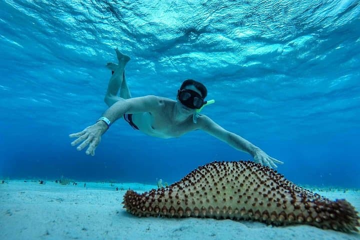 El Cielo Cozumel: Snorkel the Star Sandbar and Palancar Reefs photo 3