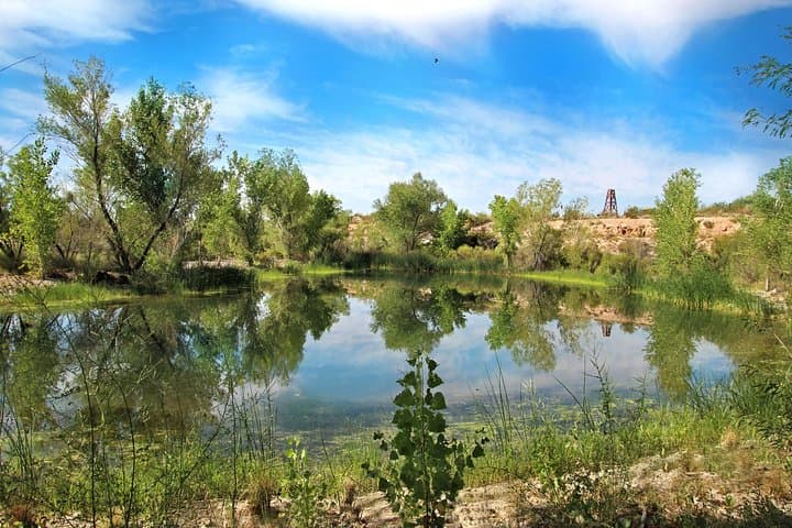 Springs Preserve Las Vegas: Explore Desert Trails, Museums & Wildlife photo 2