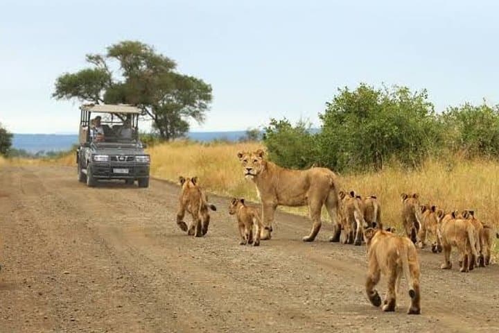 3-Day Big Five Safari: Serengeti & Ngorongoro Crater Wildlife Adventure photo 2