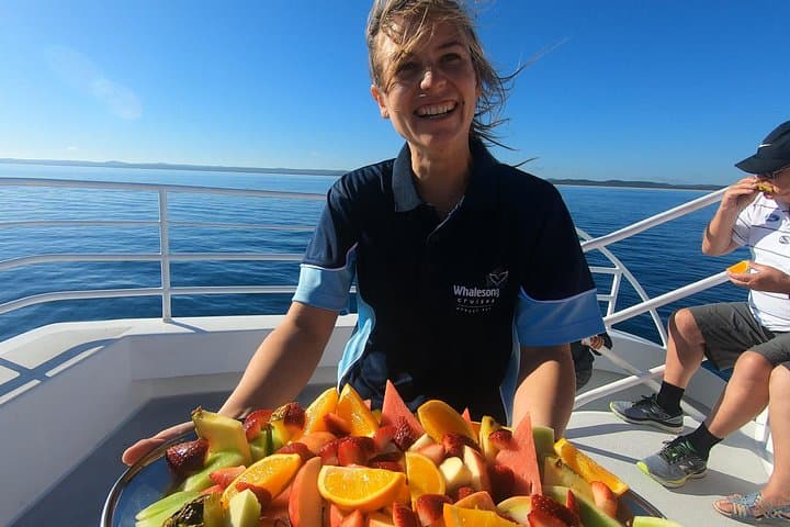 Hervey Bay Half-Day Whale Watching Cruise on MV Whalesong photo 3