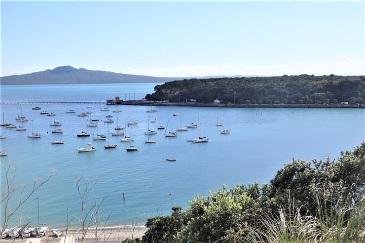 Half-Day Small-Group Auckland Scenic Tour — 4-Hour City Highlights photo 4