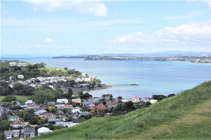 Half-Day Small-Group Auckland Scenic Tour — 4-Hour City Highlights photo 5