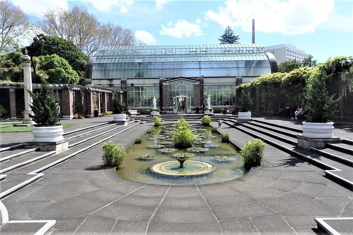 Half-Day Small-Group Auckland Scenic Tour — 4-Hour City Highlights photo 6