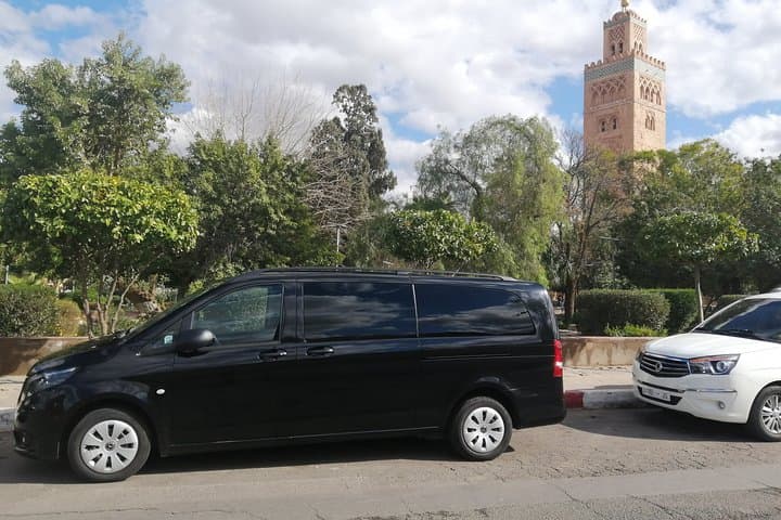 Majorelle Garden & Palmeraie Camel Ride: Half-Day Marrakech Experience photo 6