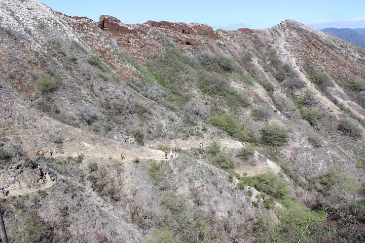 Hawaiian Beauty Package: Hike Diamond Head and Manoa Falls from Waikiki photo 3