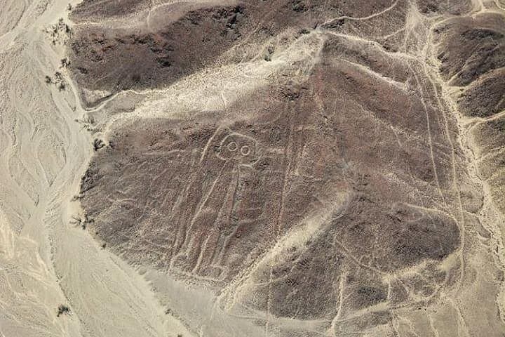 Paracas and Nazca Lines Full-Day: Ballestas Boat Tour & Nazca Overflight from Lima photo 2
