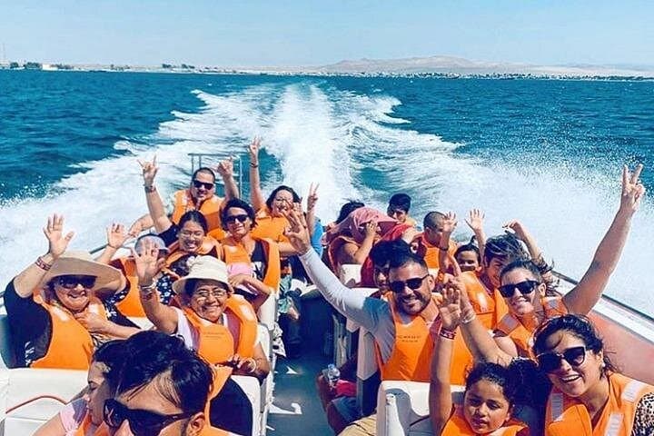 Paracas and Nazca Lines Full-Day: Ballestas Boat Tour & Nazca Overflight from Lima photo 3