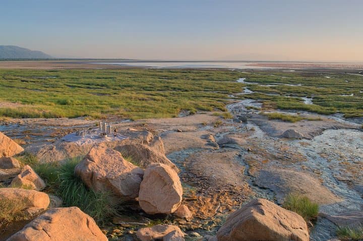 Lake Manyara One-Day Safari: Tree-Climbing Lions, Flamingo Shores & Rift Escarpment Views photo 2