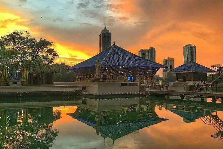 Sri Lanka Leopard Trail: 16-Day Wildlife & Cultural Circuit from Colombo photo 3
