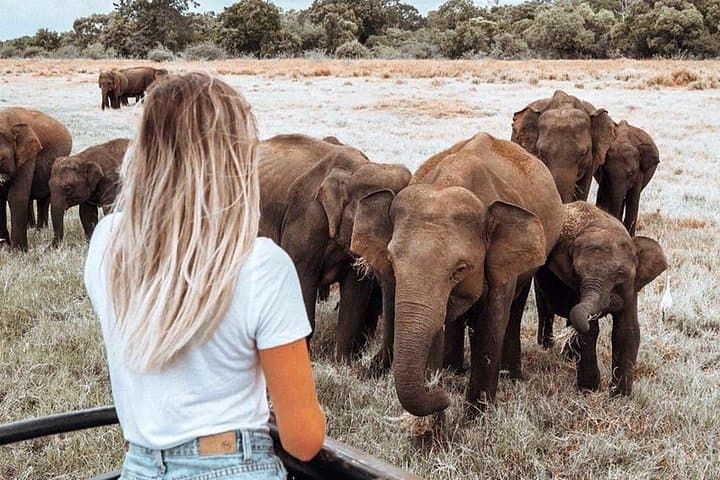 Sri Lanka Leopard Trail: 16-Day Wildlife & Cultural Circuit from Colombo photo 6