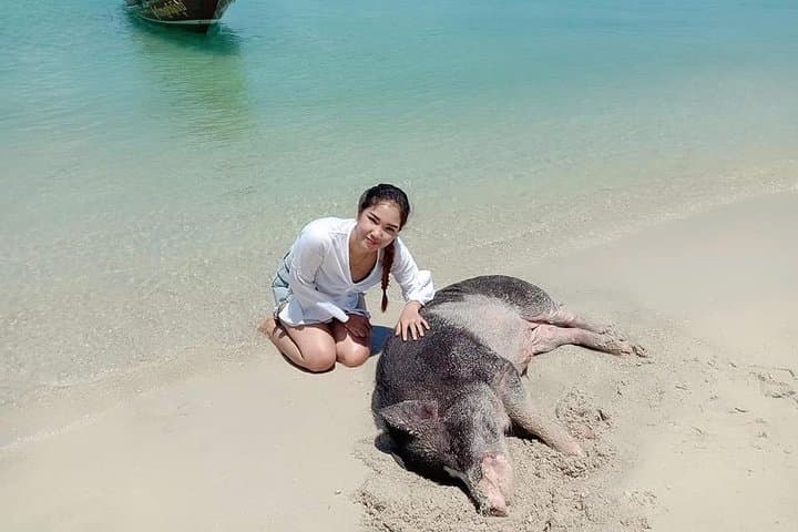 Koh Madsum & Koh Tan Speedboat Snorkel Trip from Koh Samui photo 6