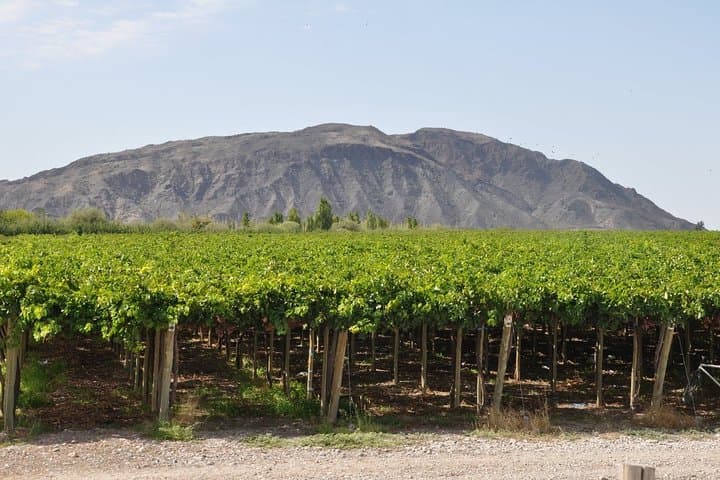San Juan City Tour and Surroundings — Half-Day Culture, Riverfront & Wineries photo 3