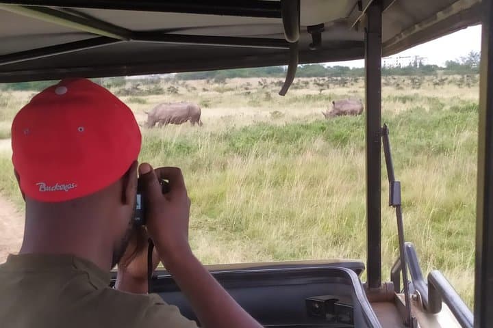 Nairobi National Park Half-Day Game Drive — City Skyline Safari photo 6
