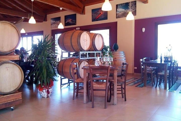 Private Etna Wine Cellar Tour with Tasting & Lunch — Wine Trails of Mount Etna photo 5
