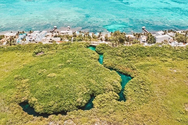Casa Cenote Paddleboarding & Snorkeling — A Half-Day Mangrove Adventure from Tulum photo 2
