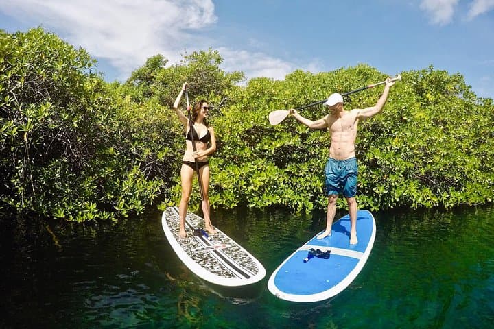 Casa Cenote Paddleboarding & Snorkeling — A Half-Day Mangrove Adventure from Tulum photo 3