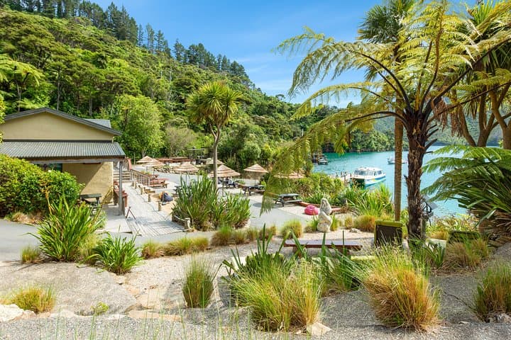 Lochmara Day Visit: Kayaks, Kakariki and the Underwater Observatory in Marlborough Sounds photo 1