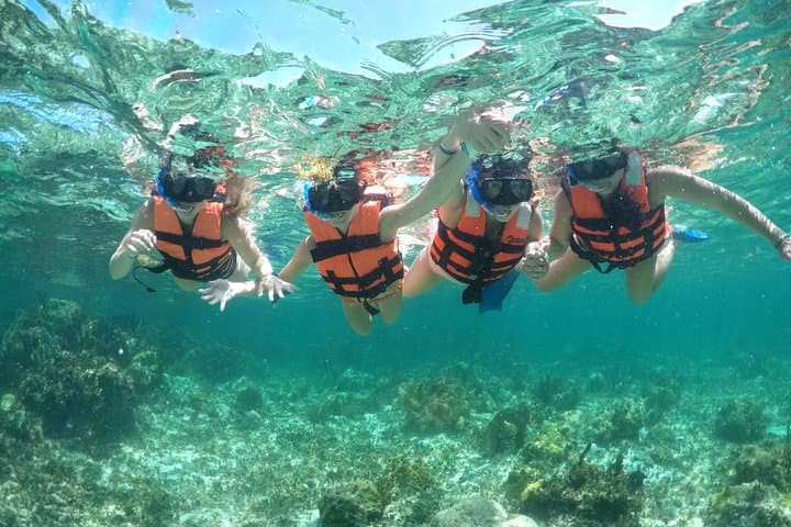 Drive a Speedboat and Snorkel the Caribbean from Cancún photo 5