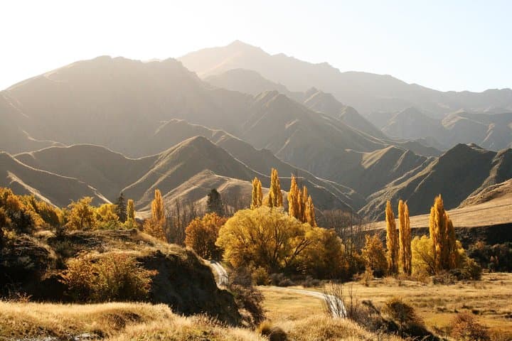 Macetown 4WD Adventure: Full-Day Off-Road Tour from Queenstown photo 2