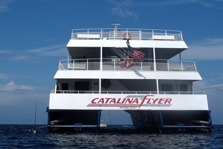 Newport Beach to Avalon: Fast Catalina Island Ferry Guide photo 6