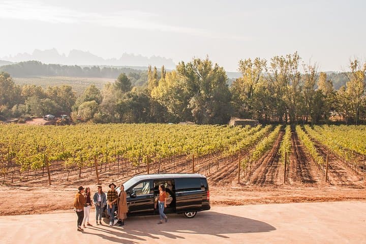 Montserrat Monastery and Organic Winery Private Tour with Catalan Brunch photo 6