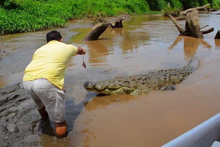 Tarcoles River Crocodile Safari and Jaco Beach Day Trip from San Jose photo 3