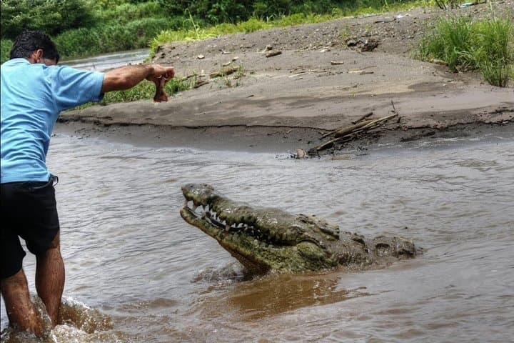 Tarcoles River Crocodile Safari and Jaco Beach Day Trip from San Jose photo 4