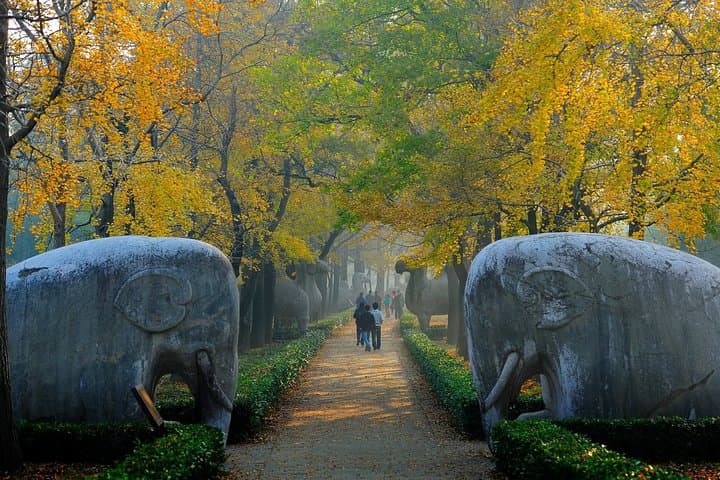 Nanjing Private English Tour: Custom 8-Hour Guided City Experience photo 2