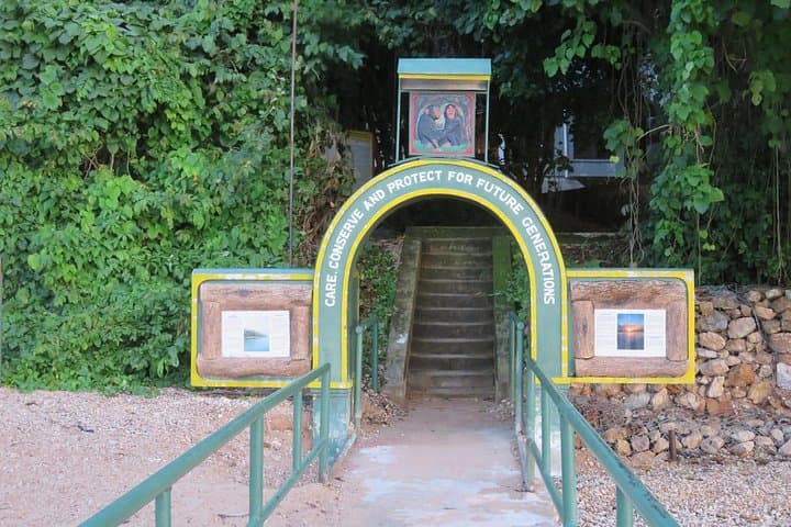Gombe National Park Chimpanzee Trek — Lake Tanganyika Forest Trekking & Wildlife Day Tour
