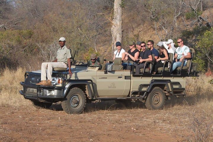 4-Day Private Game Lodge Safari in Greater Kruger — Balule Big Five Experience