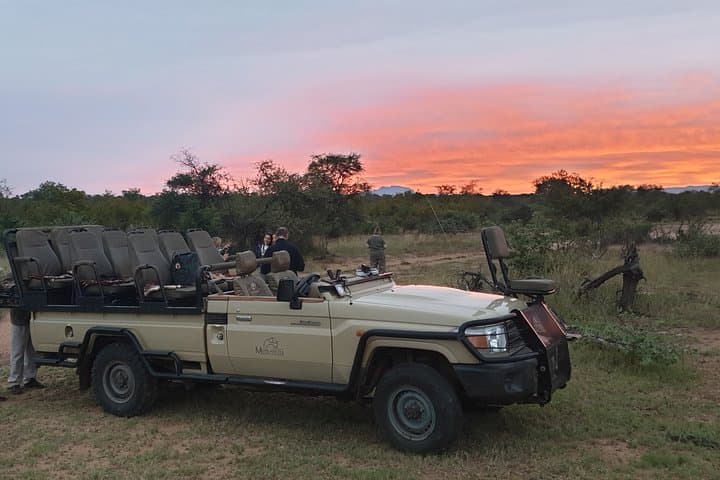 4-Day Private Game Lodge Safari in Greater Kruger — Balule Big Five Experience photo 2