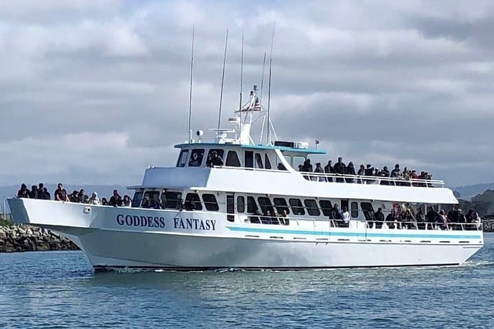 Moss Landing Whale Watching in Monterey Bay — Guaranteed Sightings & What to Expect photo 3